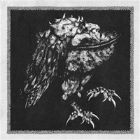 Nekrodeus - Rua - Cd - G3Z