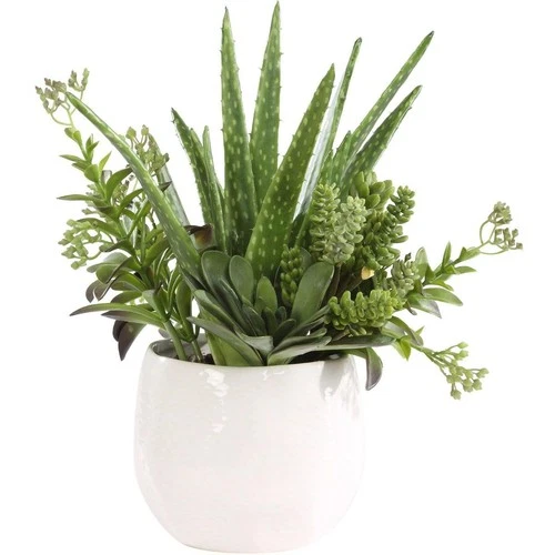 Uttermost 60244 Sundown Succulent Green and White Succulent Accent Planter - Picture 2 of 5