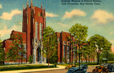 VIntage Postcard-Peabody Museum of Natural History, Yale Univ.New Haven,CN