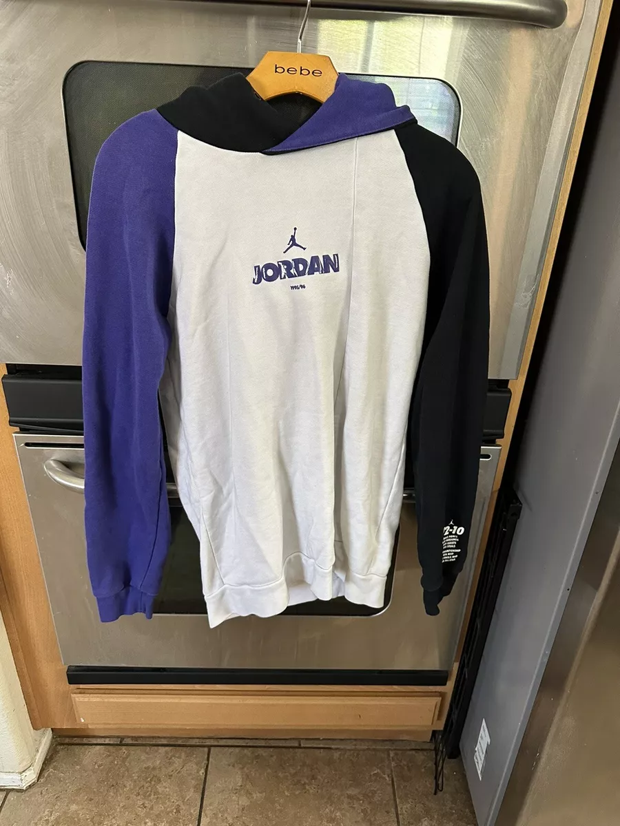 Jordan 11 2025 concord sweatshirt
