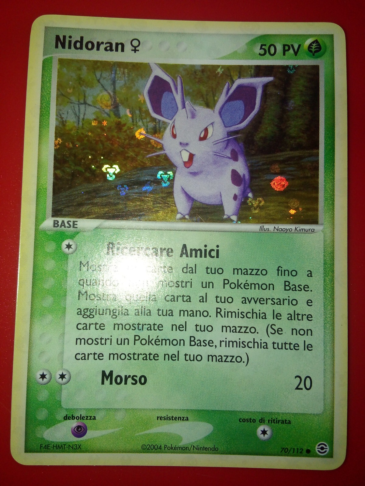 Foto 1 di 2