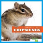 Chipmunks by Mari C Schuh (Hardback, 2016)