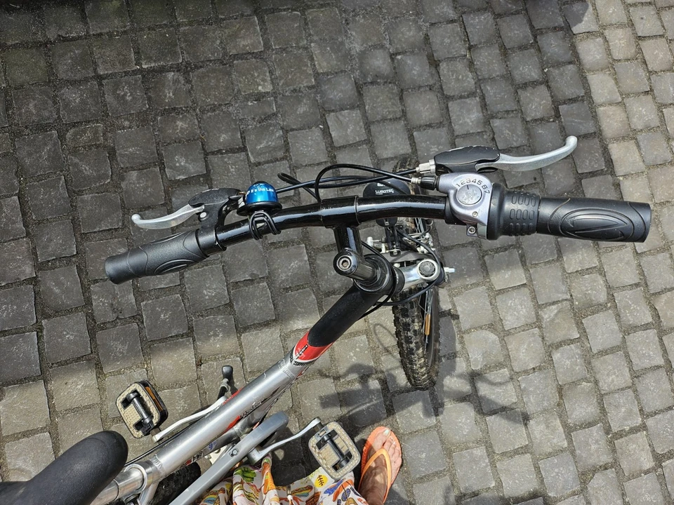 Pegasus Avanti Aluminium 20 Zoll Shimano 7 Gang Kinderrad - Bild 4 von 4