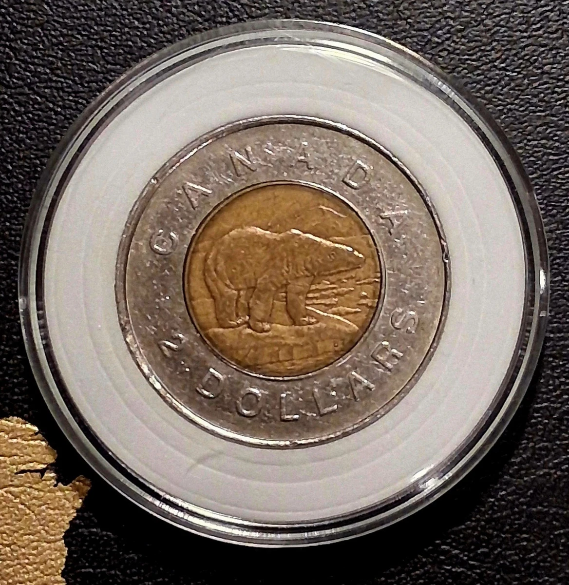 加拿大两美元硬币(Toonies) | eBay