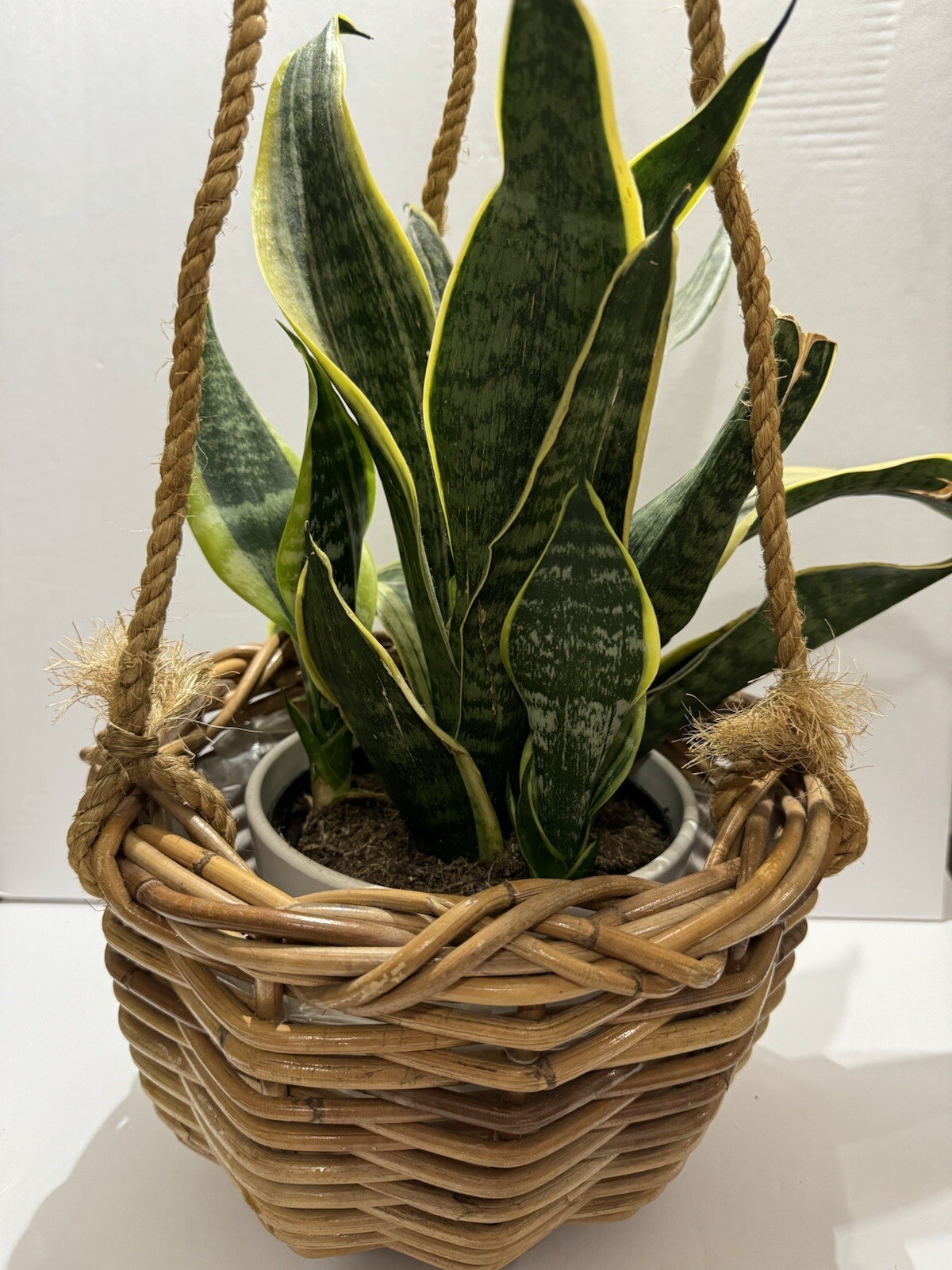 Hanging Wicker Plant Basket