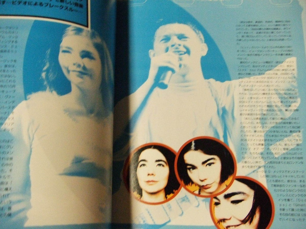 【洋書】ビョーク Björk : The Illustrated Story Bjork The Illustrated Story book photo history | eBay