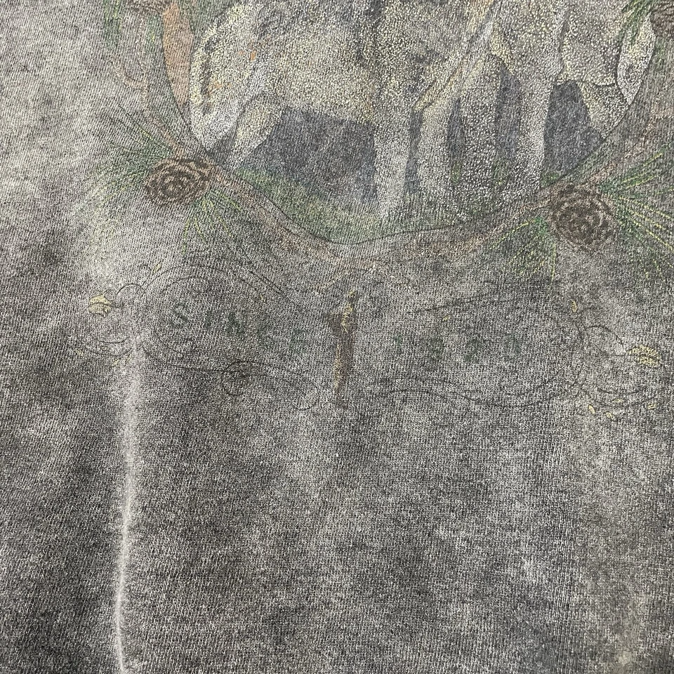 Sudadera Pesada De Colección Eddie Bauer Para Hombre XXL Desteñida Lobo Naturaleza Hecha en EE. UU. Años 90 Foto 2 de 4