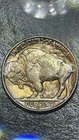 1938-D Buffalo Nickel 5 Cents MS+ Amazing Condition Full Horn