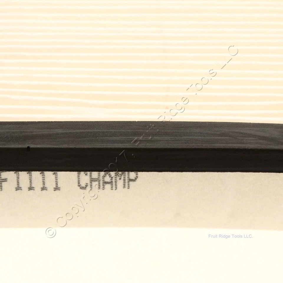 Filtro de aire del motor Champion AF1111 para Beretta & Corsica 1989-1993 1,54" x 8,56" Foto 3 de 4