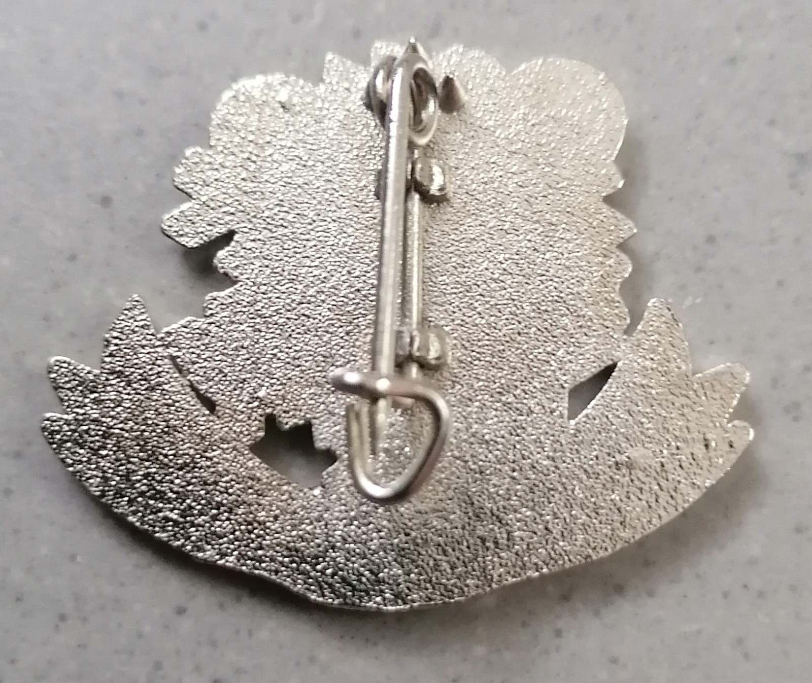 ESF Ski Medal Brooch Badge "BOY" Patent Level Test Child 