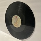 Foto 8 di 8
