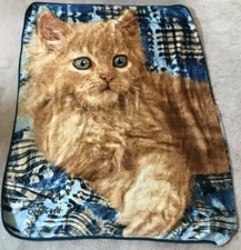The Northwest Company Greg Cuddiford 59" X 47" Kitten CAT THROW BLANKET