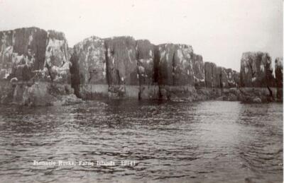 ECHTFOTO-POSTKARTE VON PINNACLE ROCK, FARNE ISLANDS, NORTHUMBERLAND VON JOHNSTON