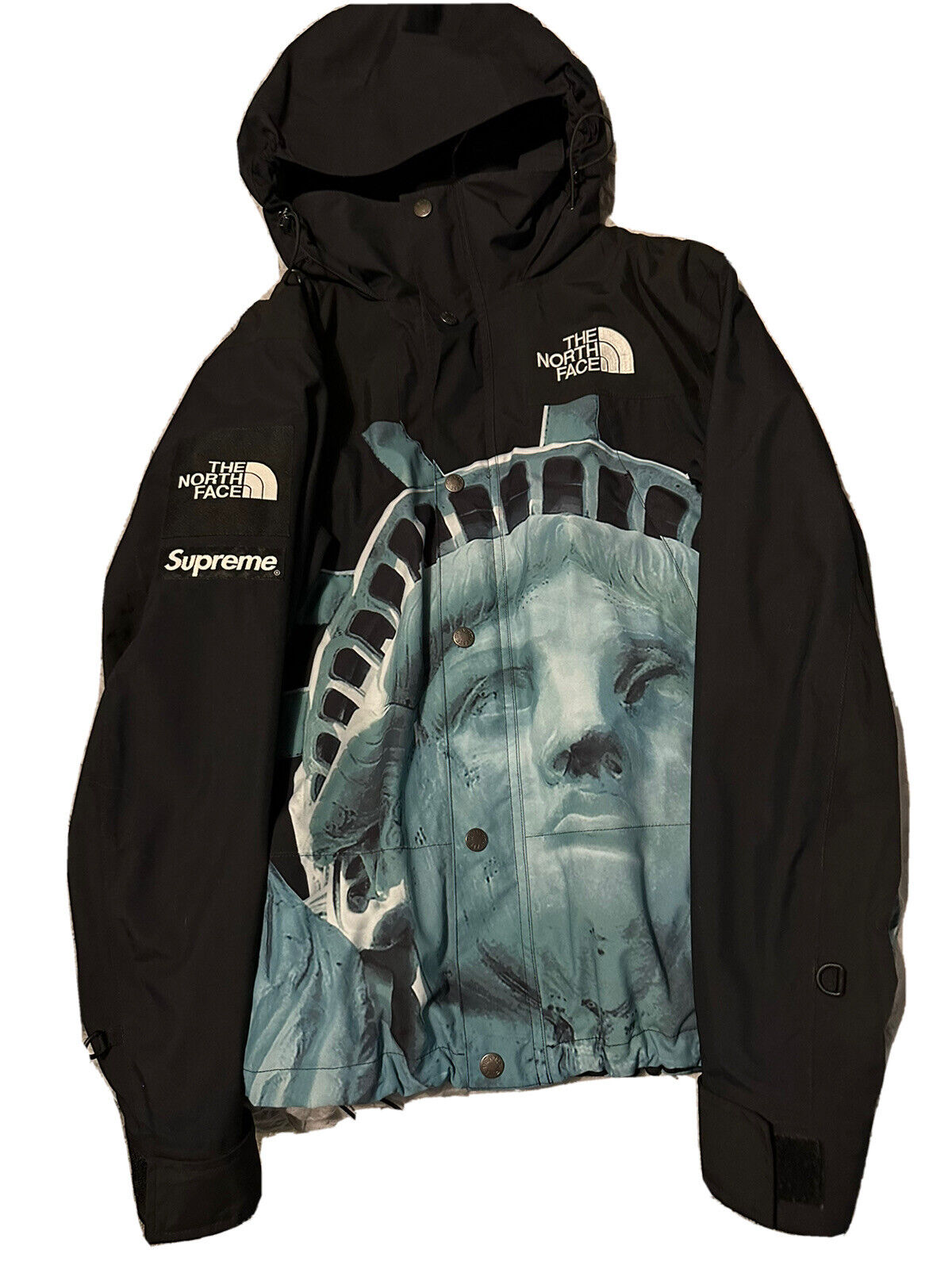 Supreme North Face Jacket Statue Of Liberty. Size Small