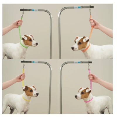 Grooming Loops Screen Print 18'' Fashion Nylon Dog Restraints Choose Print or Set