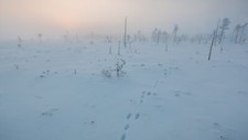 Landscape winter snow calm cold tundra mist frost Custom Gaming Mat Desk