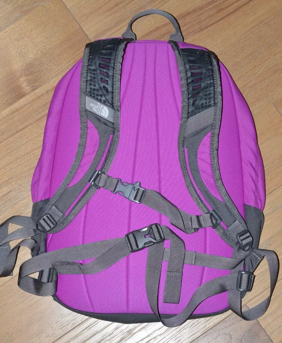 The north 2024 face girls backpack