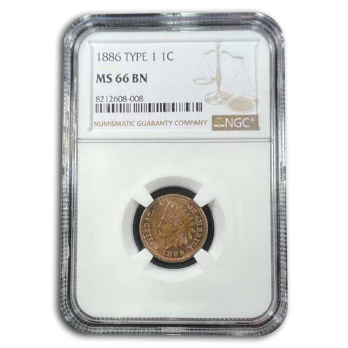 1886 Indian Head Cent Type-I MS-66 NGC (Brown)