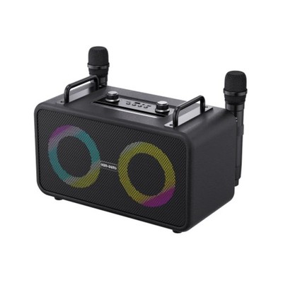 Ven-Dens Wireless Karaoke Lautsprecher - 2 kabellose Mikrofone, wiederaufladbar