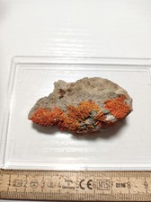 Realgar auf Matrix –sehr Schön ausgebildet - Sammlerstück ca. 6,5 x 4 cm