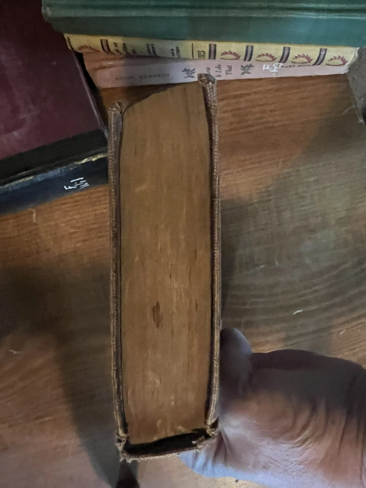 The Pest Albert Payton Terhune 1923 Hardcover Foto 3 de 4