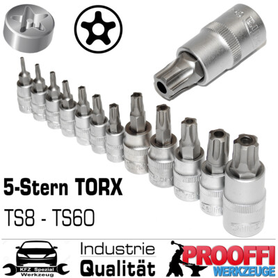 12-tlg Spez. Fünfstern TORX IPR Sicherheits Stecknuss Steckschlüssel TS8 - TS60