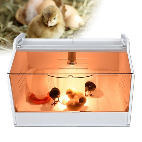 Poultry Chick Brooder Hand Raised Baby Chick Warm Keeping Box w/Thermometer AU