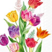 20 Servietten Bright Tulips Tulpen Strauß FrüHling Garten Blumen Natur 33X33Cm