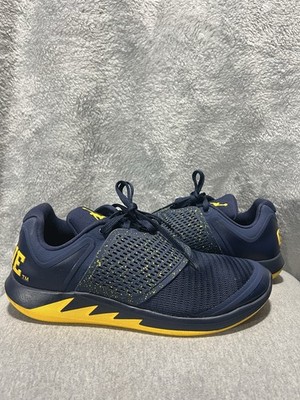 Nike Air Jordan Grind 2 Shoes Mens 9 Michigan Wolverines Blue Yellow AT8011-407