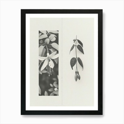 Fuchsia Blume Foto Collage 2 Kunst gerahmt Wandbild Poster Leinwanddruck Bild