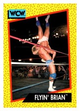 FLYIN BRIAN PILLMAN WCW WRESTLING 1991 Impel Trading Card B121