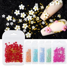 200pcs Acrylic Crystal 3D Flower Nail Art Decoration Cute Mixed Size Manicure ⇓