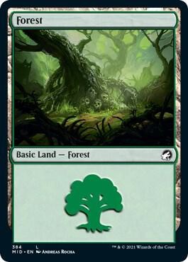 Forest (384) L 384 Innistrad: Midnight Hunt Near Mint