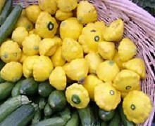 Squash Summer Pattypan Yellow Bush Scallop    250 seeds