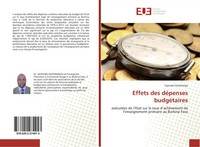 Sayouba OuéDraogo | Effets Des DéPenses BudgéTaires | Taschenbuch | FranzöSisch