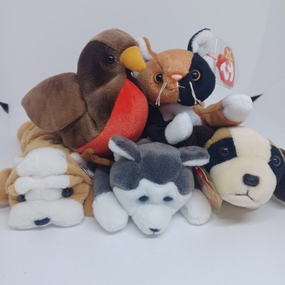 ty Beanie Babies Dogs Cat And Parrot lot of 5 Chip Early Nanook Wrinkles Bernie