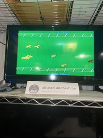 Stampede (Atari 2600, 1981) Cleaned & Tested (JY036)