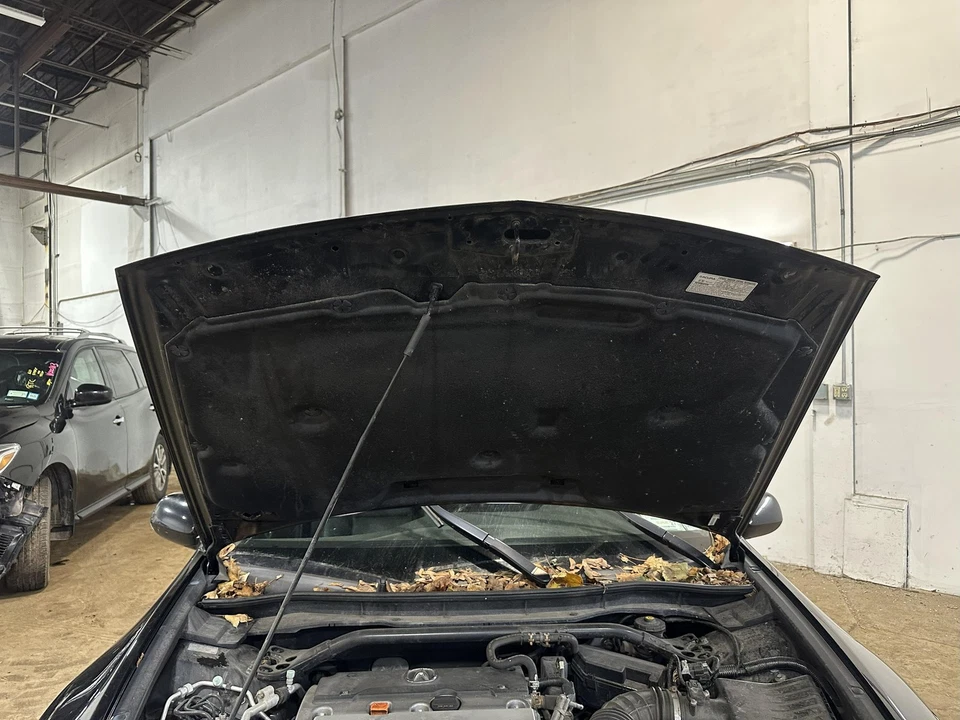 Used Hood fits: 2013 Acura Tsx  Grade B — 第 4/4 张图片
