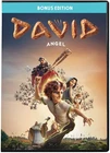 David DVD