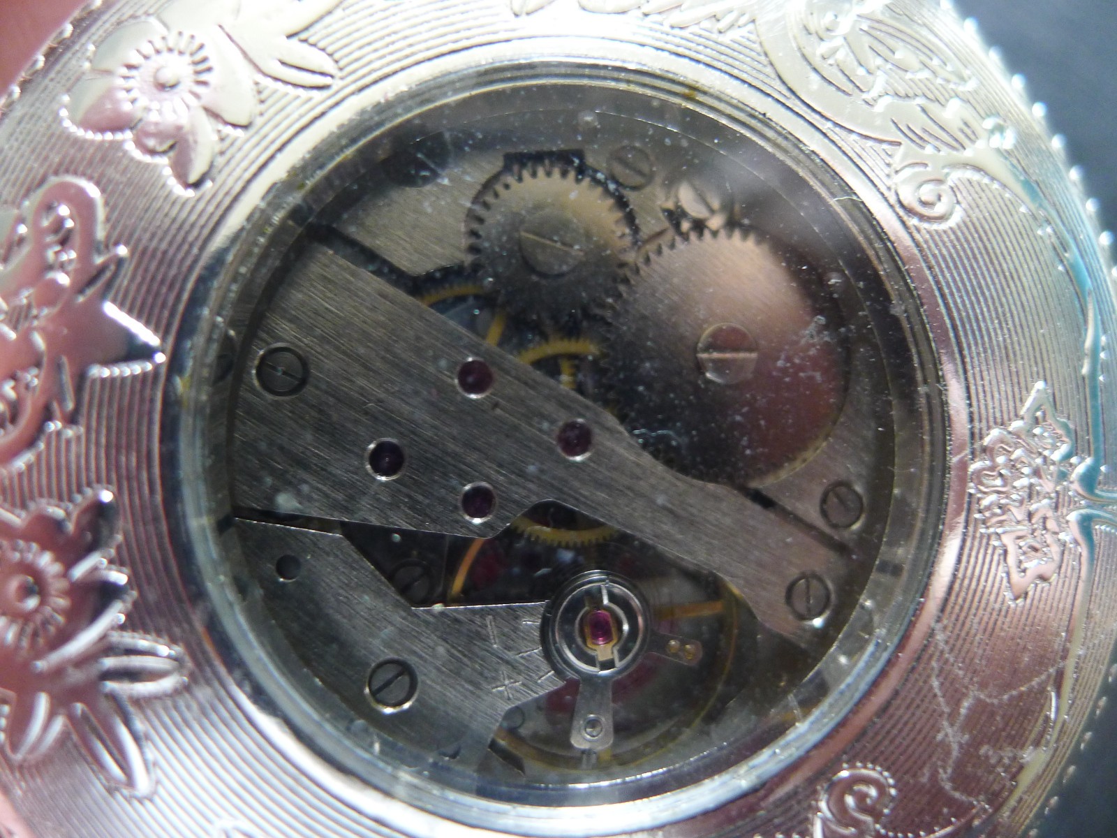 Picture 5 of 5