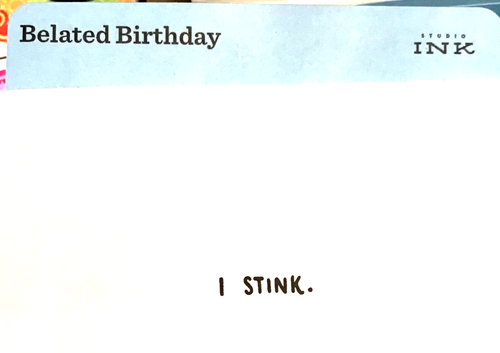 Funny FRIEND Belated Birthday Card "I STINK" Studio Ink Hallmark Si 15 - Picture 2 of 3