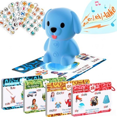 Phonics Flash Cards with Talking Pen for Homeschool Essentials -Hooked on Pho...