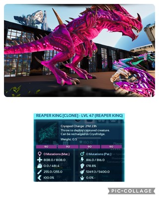 ark survival ascended pve Solid Color Reaper Clones Only