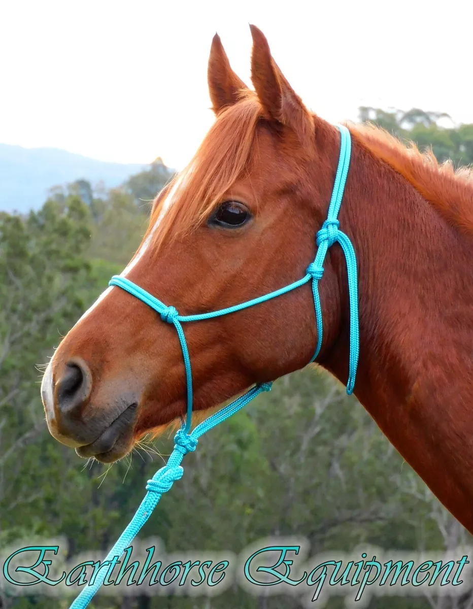 Earthhorse Equipment, Quality Australian made Rope halter and lead