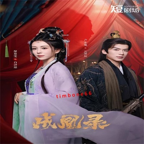 2025 Chinese Drama CHENG HUANG LU 成凰录 Chinese Sub BOXed 爱情 - Foto 3 di 3