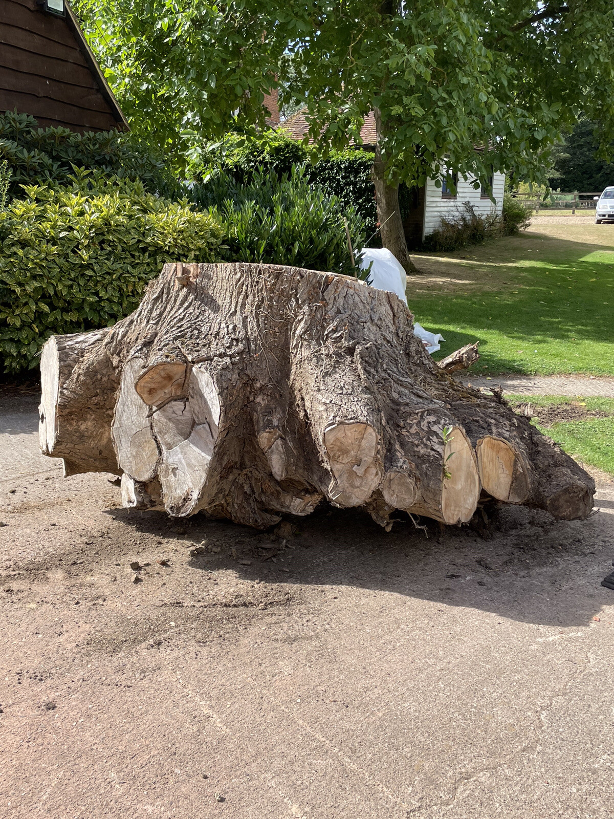 Stumpery Centrepiece Tree Stump garden feature eBay