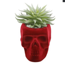 FLORA BUNDA Flocked Velvet Skull Planter with Artificial Succulent