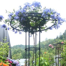  Vertical Umbrella Trellis Tower Garden Trellis Climbing Plants Support for Vine