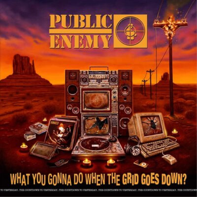 Public Enemy What You Gonna Do When the Grid Goes Down? (Vinyl) (US IMPORT)