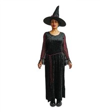 Spider Web Witch Costume Medium/Large 8-14